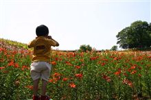 どうでしょう～～？
