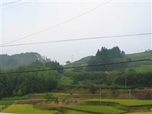 おはよ～ですかすかにが…