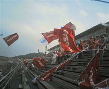 頼む…