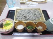 東京に帰還ちう