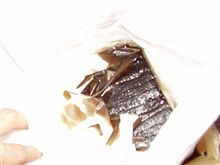 マンドクサイカキコイラネ（謎）