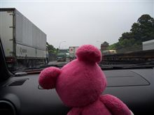 暫くの間旅に出ます。探さないで下さい・・・