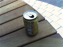 缶飲料が無いドイツ（少ない）
