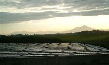 綺麗でしょ？？