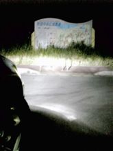 不意に再発したイデデデ病気