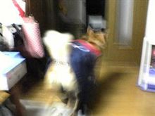現実逃避の旅に。。。