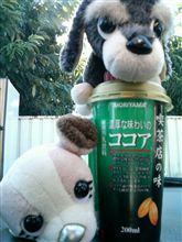 今日のいっぱいここあへん