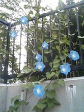 コチラも コチラも