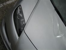 愛情一本　ＲＸ－８