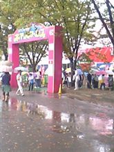 象が二本足で立つ！