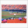 横浜スタジアムに行きました！