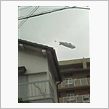 きゅ～んきゅ～ん、きゅ～んき ...