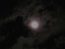 中秋の名月… 中秋の名月…