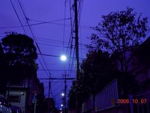 (*゜ー゜)vオハヨ♪　雨止んだ! 運動会じゃ!!