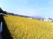 のどかぁ～