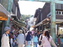天気が良いから 天気が良いから