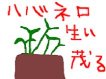 暴君ハバネロ、その後。 暴君ハバネロ、その後。