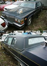 馬車からランドールーフ　4