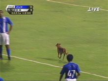 インドｖｓ日本