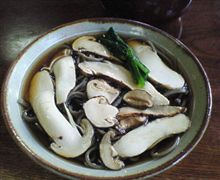 ご馳走様
