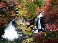 紅葉の季節ですね♪