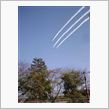 飛行機がみたいｗ