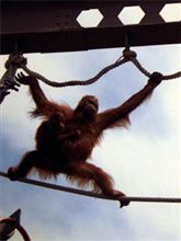 旭山動物園の入場者数