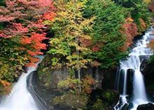 全国紅葉カタログ2006
