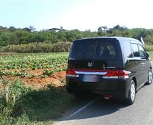 近場で秋を感じる休日