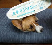 やっこ（爆）・・・今頃・・・（ダンナの毒が～）