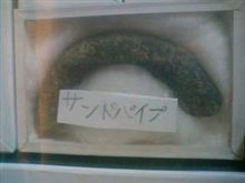 学校帰りに息抜き．．．息子道連れ(^_^;)