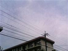 久しぶりの・・・
