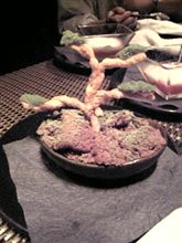 盆栽にあらず! 盆栽にあらず!