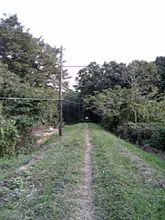 廃線跡 廃線跡