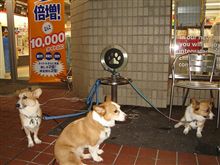 「ど～ん」なモンダイ