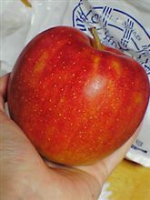 秋の味は、恋の味(//∇//)