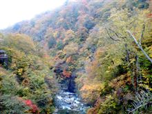 紅葉を見に行ってきました。