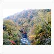 紅葉を見に行ってきました。