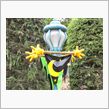 ディズニーランド