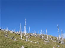 大台ケ原 大台ケ原