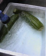 臭っ 臭っ