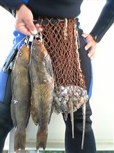 北東の風2m/s波の高さ0.5m小潮/U