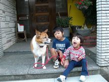 サクラとお散歩に・・・
