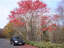 またまた紅葉見物(栃木県北部)