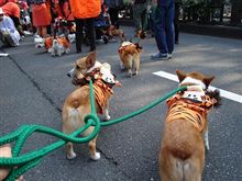 表参道ハロウィーンに参加！！