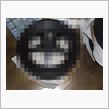 次はコレ！！