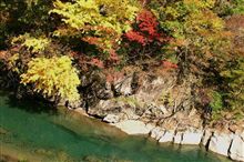 何しに行ったんだか・・・。(白山紅葉情報)