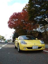 富士五湖周辺紅葉ドライブ