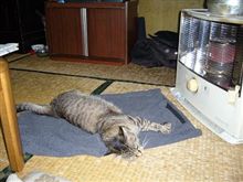 さ、さむいっす、ひぃ火