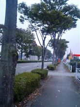 邪魔です。
